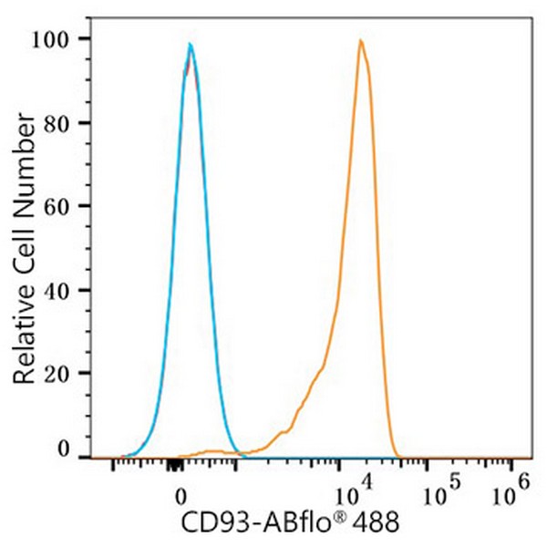 ABflo® 488 Rabbit anti-Human CD93 mAb (Catalog Number: A23012) Abclonal