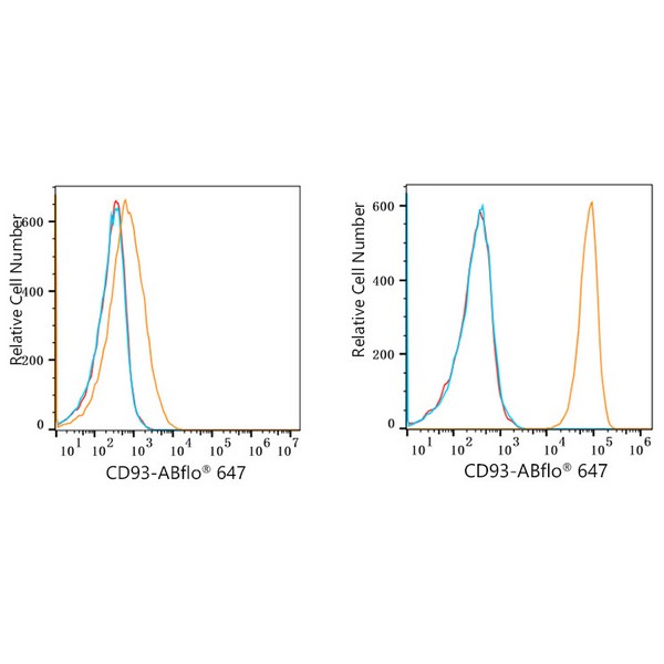ABflo® 647 Rabbit anti-Human CD93 mAb (A23013) ABflo® 647 Rabbit anti-Human CD93 mAb (A23013)