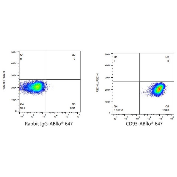 ABflo® 647 Rabbit anti-Human CD93 mAb (Catalog Number: A23013) Abclonal