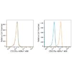 ABflo® 488 Rabbit anti-Human CD235a/Glycophorin A mAb (A23014)