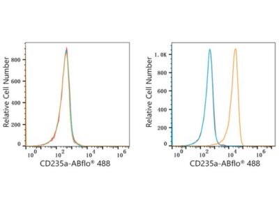 ABflo® 488 Rabbit anti-Human CD235a/Glycophorin A mAb (A23014)