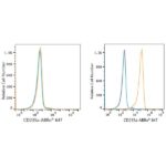 ABflo® 647 Rabbit anti-Human CD235a/Glycophorin A mAb (A23015)