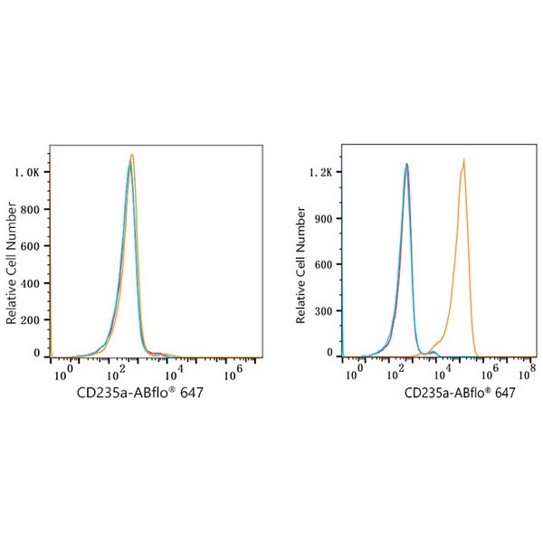 ABflo® 647 Rabbit anti-Human CD235a/Glycophorin A mAb (A23015) ABflo® 647 Rabbit anti-Human CD235a/Glycophorin A mAb (A23015)