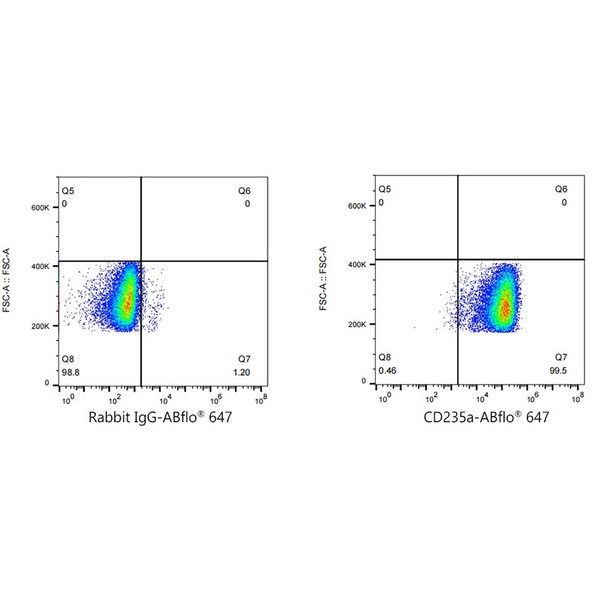 ABflo® 647 Rabbit anti-Human CD235a/Glycophorin A mAb (Catalog Number: A23015) Abclonal