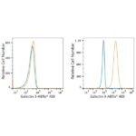 ABflo® 488 Rabbit anti-Human Galectin 3 mAb (A23016)