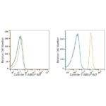 ABflo® 647 Rabbit anti-Human Galectin 3 mAb (A23017)