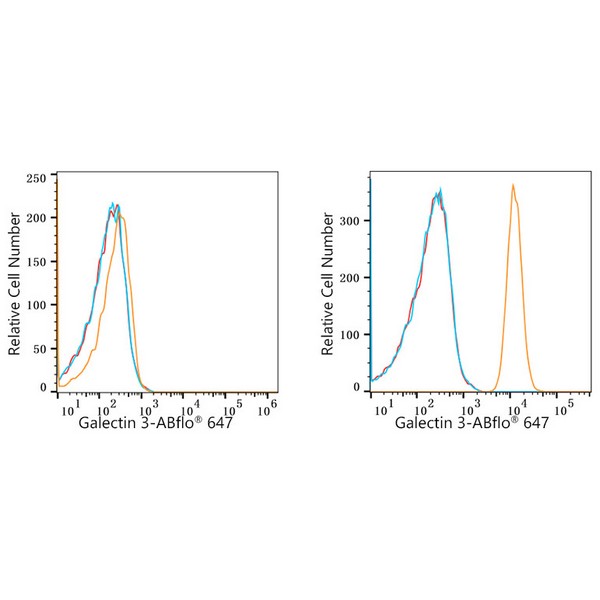 ABflo® 647 Rabbit anti-Human Galectin 3 mAb (A23017) ABflo® 647 Rabbit anti-Human Galectin 3 mAb (A23017)
