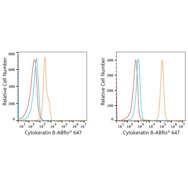 ABflo® 647 Rabbit anti-Human Cytokeratin 8 mAb (A23019) ABflo® 647 Rabbit anti-Human Cytokeratin 8 mAb (A23019)