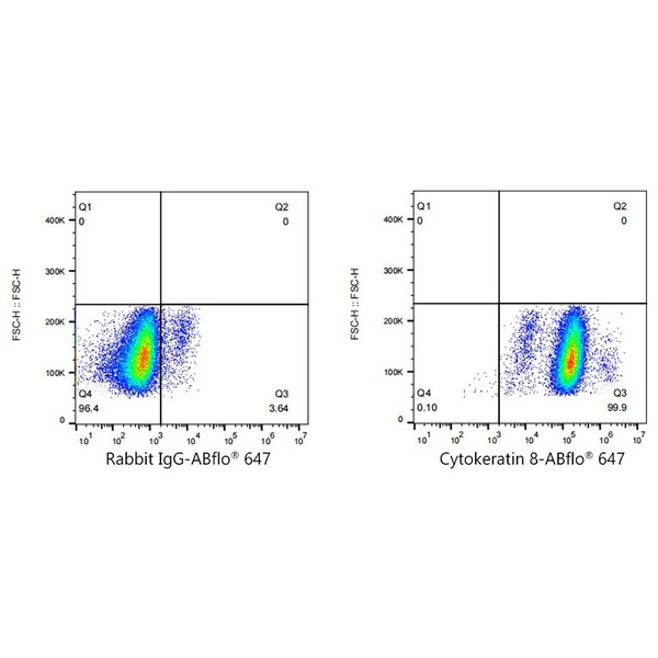 A23019: ABflo® 647 Rabbit anti-Human Cytokeratin 8 mAb