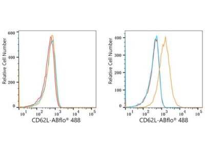 ABflo® 488 Rabbit anti-Human CD62L/L-Selectin mAb (A23020)