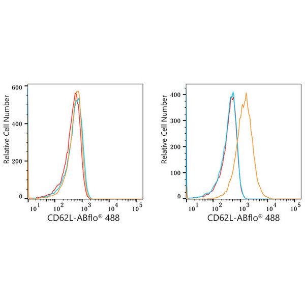 ABflo® 488 Rabbit anti-Human CD62L/L-Selectin mAb (A23020) ABflo® 488 Rabbit anti-Human CD62L/L-Selectin mAb (A23020)
