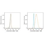 ABflo® 488 Rabbit anti-Human CEACAM5/CD66e mAb (A23021)