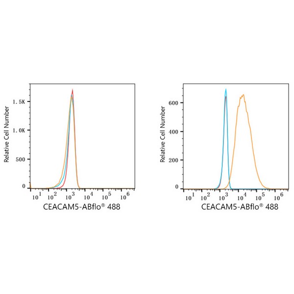 ABflo® 488 Rabbit anti-Human CEACAM5/CD66e mAb (A23021) ABflo® 488 Rabbit anti-Human CEACAM5/CD66e mAb (A23021)
