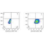 A23021: ABflo® 488 Rabbit anti-Human CEACAM5/CD66e mAb