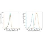 ABflo® 647 Rabbit anti-Human CEACAM5/CD66e mAb (A23022)