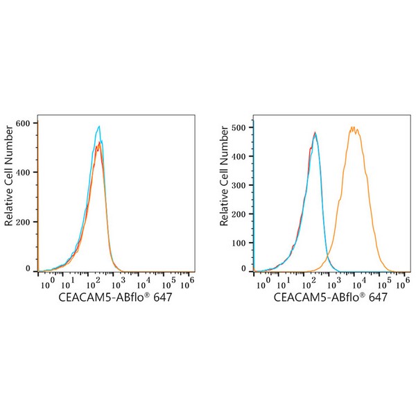 ABflo® 647 Rabbit anti-Human CEACAM5/CD66e mAb (A23022) ABflo® 647 Rabbit anti-Human CEACAM5/CD66e mAb (A23022)