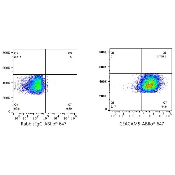 A23022: ABflo® 647 Rabbit anti-Human CEACAM5/CD66e mAb
