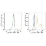 ABflo® 488 Rabbit anti-Cat CD19 mAb (A23100)