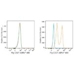ABflo® 488 Rabbit anti-Pig CD27 mAb (A23101)