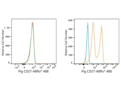 ABflo® 488 Rabbit anti-Pig CD27 mAb (A23101)