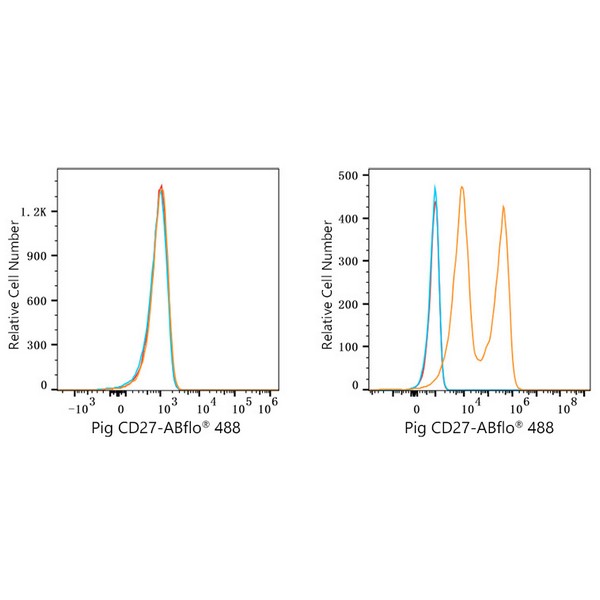 ABflo® 488 Rabbit anti-Pig CD27 mAb (A23101) ABflo® 488 Rabbit anti-Pig CD27 mAb (A23101)