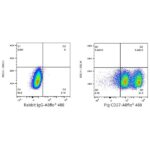 A23101: ABflo® 488 Rabbit anti-Pig CD27 mAb