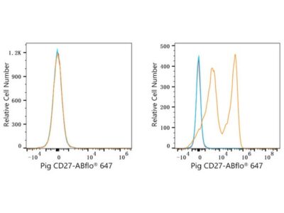 ABflo® 647 Rabbit anti-Pig CD27 mAb (A23102)