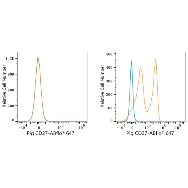 ABflo® 647 Rabbit anti-Pig CD27 mAb (A23102) ABflo® 647 Rabbit anti-Pig CD27 mAb (A23102)