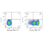 A23102: ABflo® 647 Rabbit anti-Pig CD27 mAb