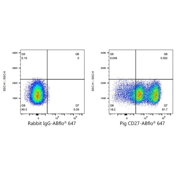 A23102: ABflo® 647 Rabbit anti-Pig CD27 mAb