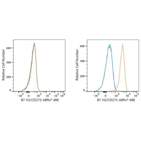 ABflo® 488 Rabbit anti-Human B7-H2/CD275 mAb (A23103) ABflo® 488 Rabbit anti-Human B7-H2/CD275 mAb (A23103)