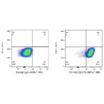 A23103: ABflo® 488 Rabbit anti-Human B7-H2/CD275 mAb