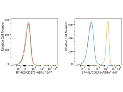 ABflo® 647 Rabbit anti-Human B7-H2/CD275 mAb (A23104)