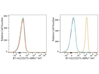 ABflo® 647 Rabbit anti-Human B7-H2/CD275 mAb (A23104)