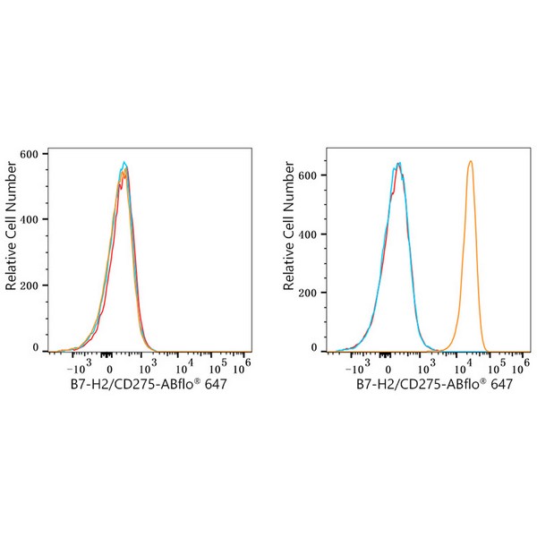 ABflo® 647 Rabbit anti-Human B7-H2/CD275 mAb (A23104) ABflo® 647 Rabbit anti-Human B7-H2/CD275 mAb (A23104)