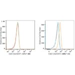 ABflo® 488 Rabbit anti-Human CLEC12A/CD371 mAb (A23105)