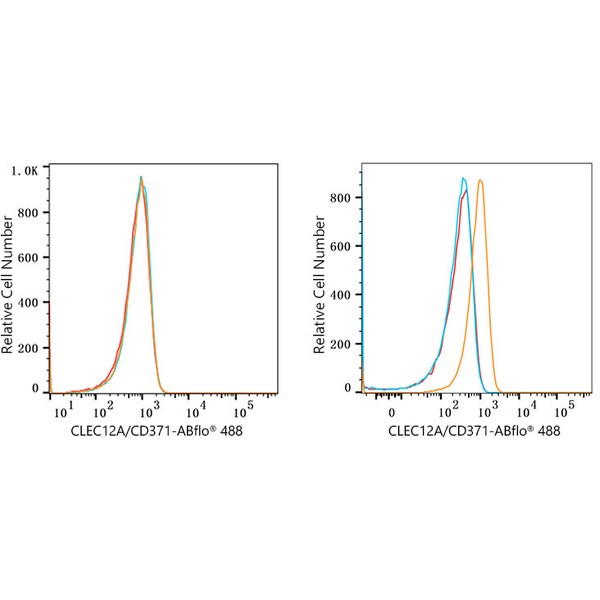 ABflo® 488 Rabbit anti-Human CLEC12A/CD371 mAb (A23105)