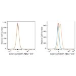 ABflo® 647 Rabbit anti-Human CLEC12A/CD371 mAb (A23106)