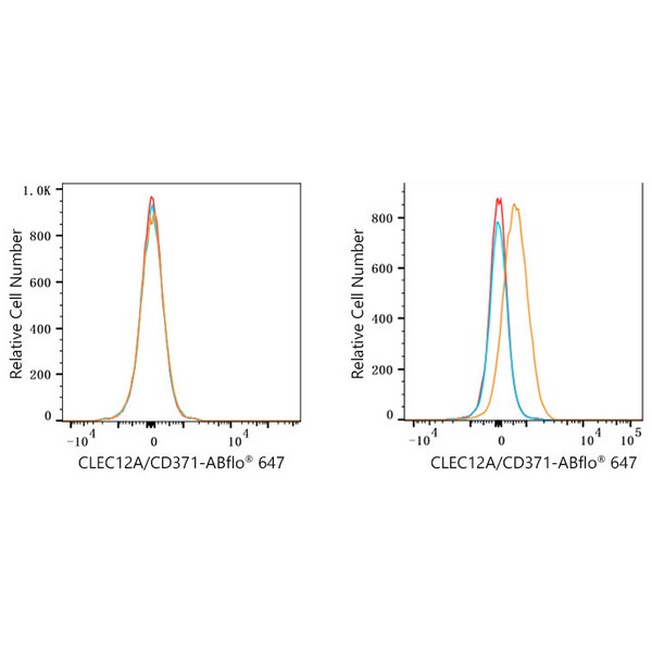 ABflo® 647 Rabbit anti-Human CLEC12A/CD371 mAb (A23106)