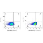 A23106: ABflo® 647 Rabbit anti-Human CLEC12A/CD371 mAb