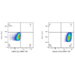 A23108: ABflo® 647 Rabbit anti-Mouse CD34 mAb