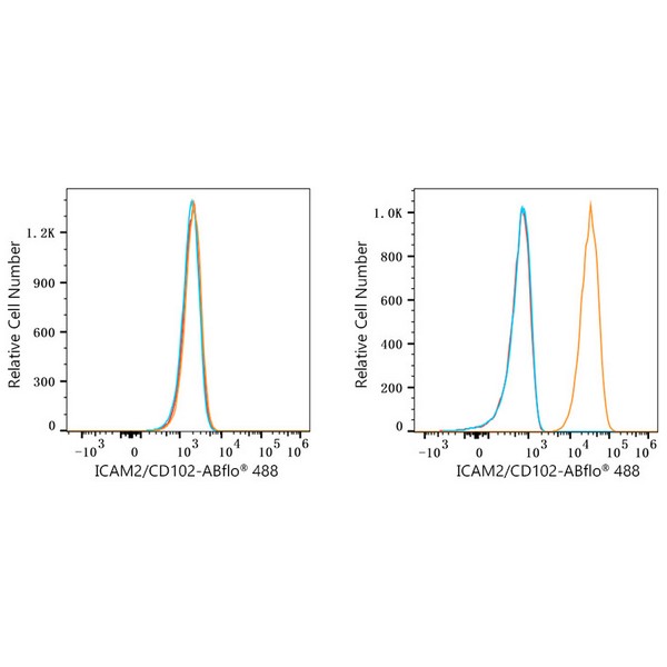 ABflo® 488 Rabbit anti-Human ICAM2/CD102 mAb (A23109) ABflo® 488 Rabbit anti-Human ICAM2/CD102 mAb (A23109)