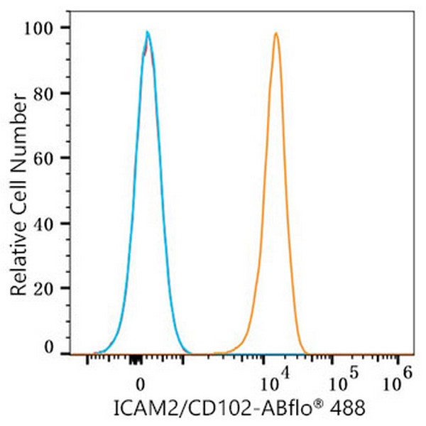 ABflo® 488 Rabbit anti-Human ICAM2/CD102 mAb (Catalog Number: A23109) Abclonal