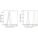 ABflo® 647 Rabbit anti-Human ICAM2/CD102 mAb (A23111)