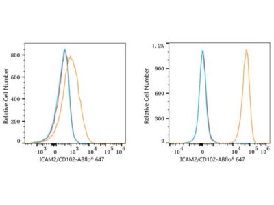 ABflo® 647 Rabbit anti-Human ICAM2/CD102 mAb (A23111)