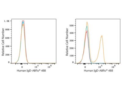 ABflo® 488 Rabbit anti-Human IgD mAb (A23112)