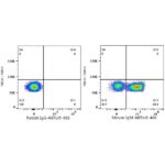 A23114: ABflo® 488 Rabbit anti-Mouse IgM mAb