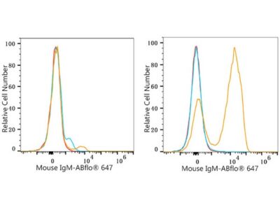 ABflo® 647 Rabbit anti-Mouse IgM mAb (A23115)