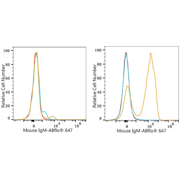 A23115-1 ABflo® 647 Rabbit anti-Mouse IgM mAb (A23115)