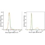 ABflo® 647 Rabbit anti-Mouse IgM mAb (Catalog Number: A23115) Abclonal